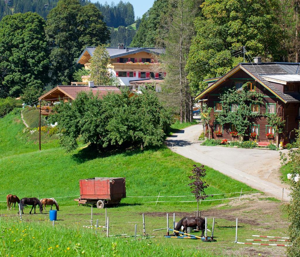 Hotel Zauchtaler Hof Altenmarkt im Pongau Exteriér fotografie